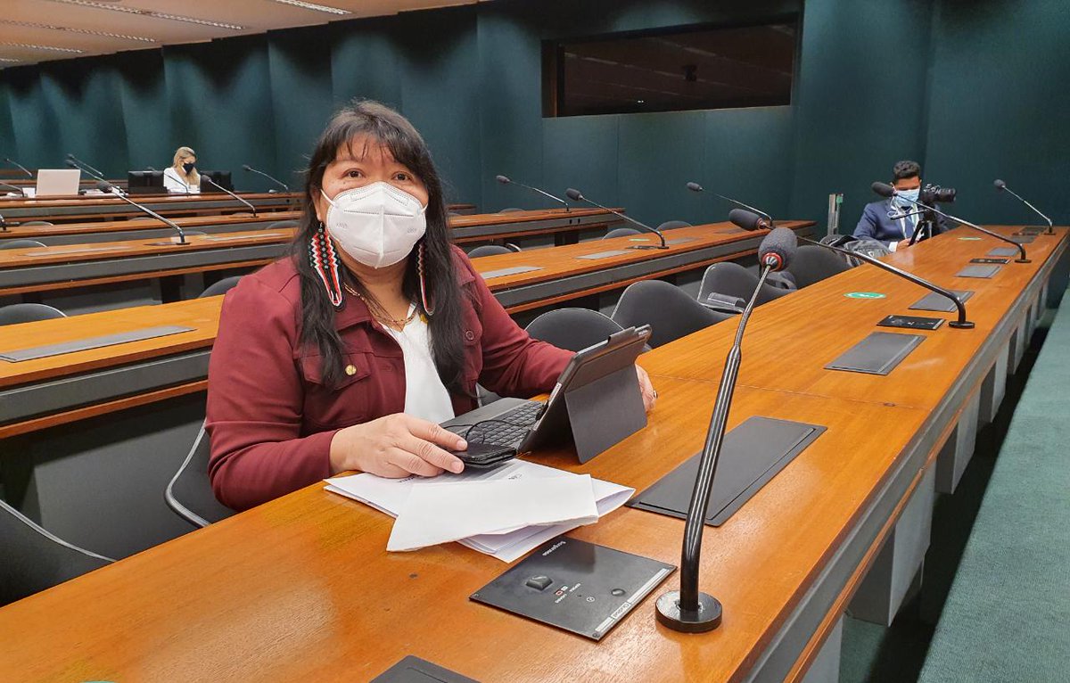 JoeniaWapichana's tweet photo. O PL 490 é um retrocesso em nossa política socioambiental e uma tentativa de retirar os direitos dos povos indígenas do Brasil!  #PL490NÃO #TerraIndígenaFica #RetrocessoNão https://t.co/68udc6htA9