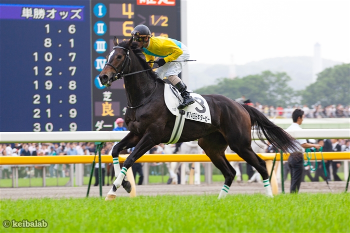 日本ダービー 四位洋文サイン入り 名馬ウォッカ優勝記念ボトル www
