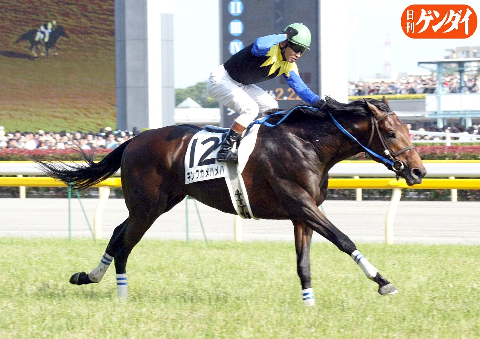 日刊ゲンダイ 競馬 誰が乗っても勝てた ０４年日本ダービー時のキングカメハメハを安藤勝己騎手はこう表現する 府中の長い直線ではや先頭 １３年間やぶられなかったアイネスフウジンのレコードを一気に２秒も縮める２分２３秒３で駆け抜けた 大王
