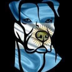 #NuevaFotoDePerfil