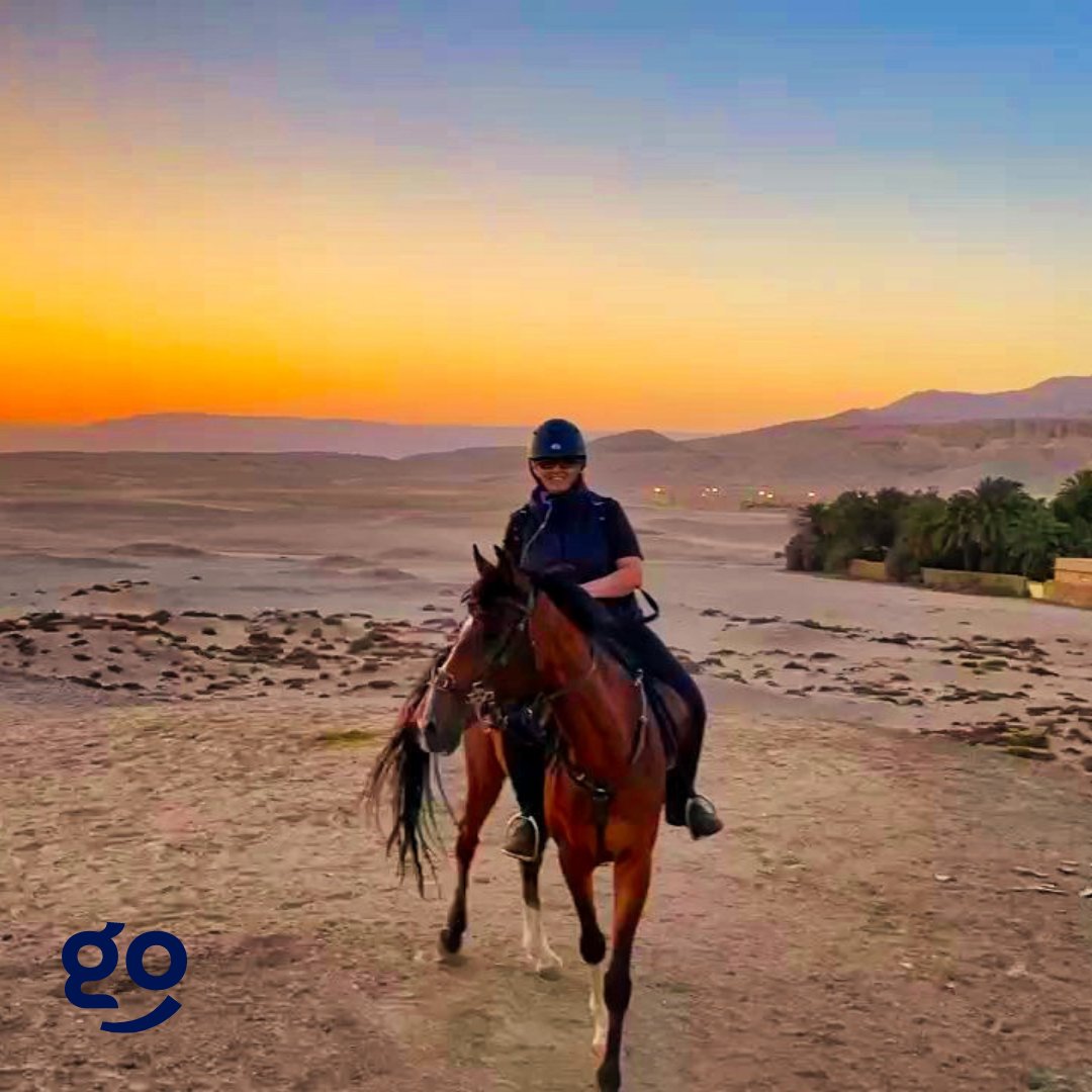 heygolive's tweet image. Postcard of the day: Have you ever been horseback riding? 🐎

📸 by Clare
🗺 Tour by Lesley
📍 Luxor

Share your postcards, tag us, and use #IWentInMyPJs for a chance to be featured!

#HeygoWithMe #VirtualTrips #VirtualTours #TravelRemotely #TravelFromHome #Luxor #Horses #Egypt