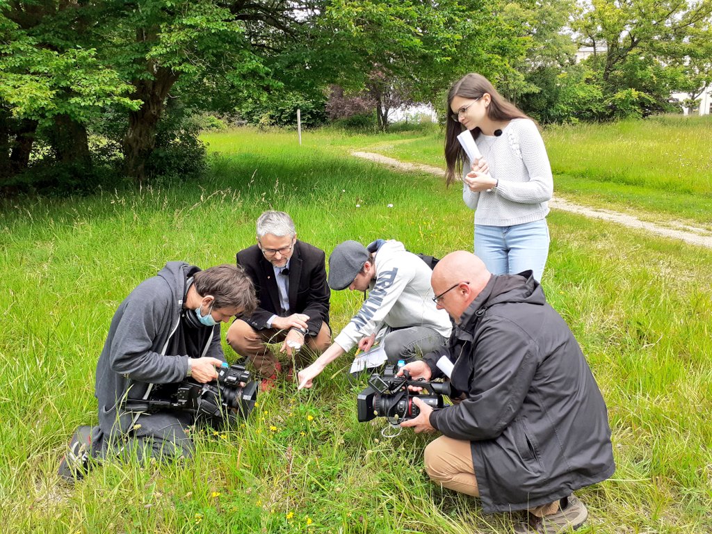 Silence ça tourne #biodiversite du bois du haut-carré <a href="/univbordeaux/">Université de Bordeaux</a> #campus #Talence