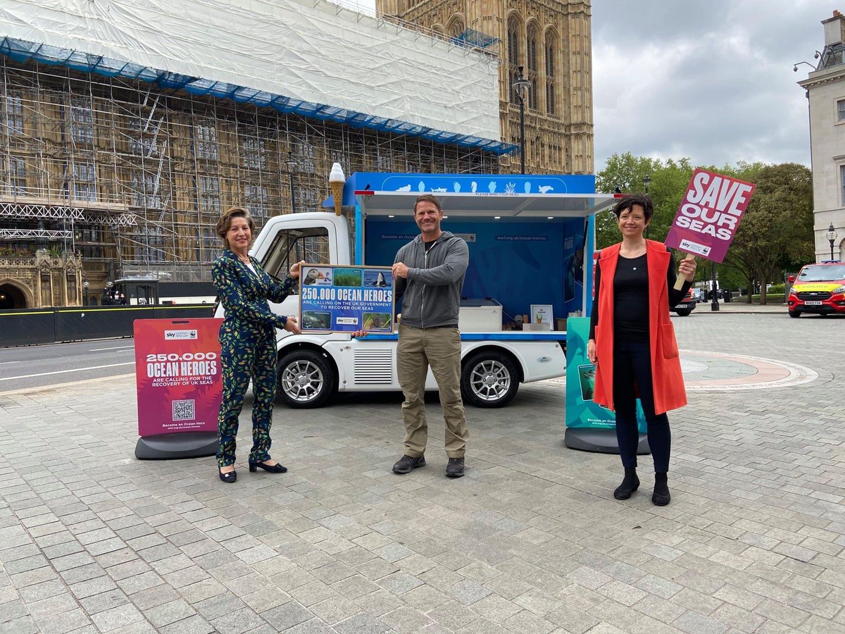 Fiona Ball tweet media