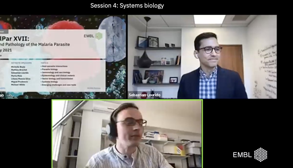 veupathdb's tweet image. Thank you @LouridoLab for acknowledging #VEuPathDB in your talk.  So many people use the resource but few mention in their acknowledgment slides.  #EMBLMalaria