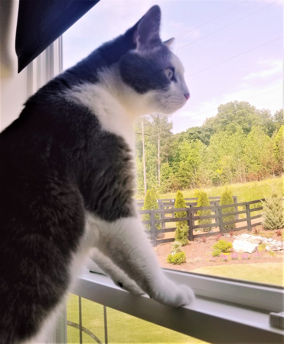 Elm3Group's tweet photo. Obi is looking ahead to summer and excited to hear that some people may start receiving child tax credit payments in July. Are you eligible for these payments? How much will you receive? Click here for the answers to all of these questions and more! https://t.co/In3xZW5haE https://t.co/tYqJye4pXO