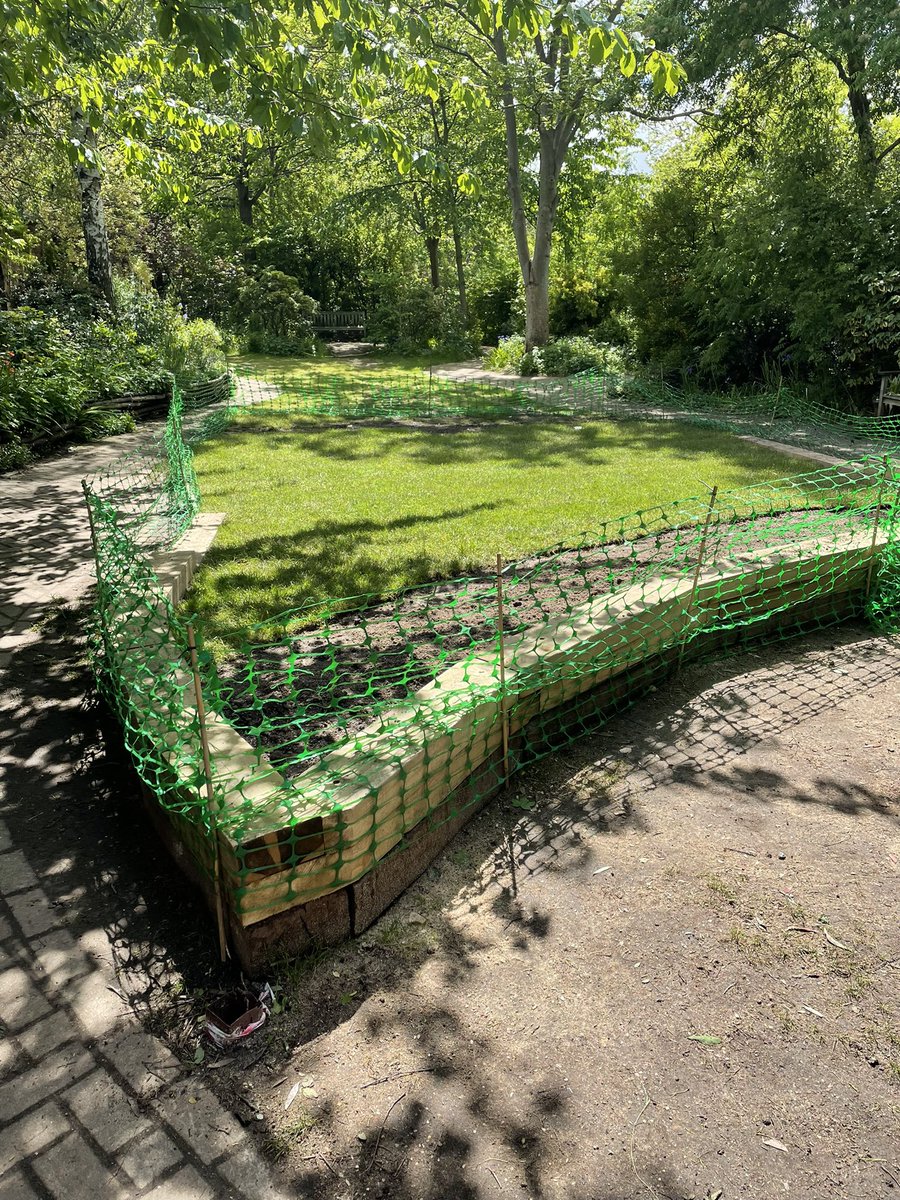 Theoldengarden's tweet photo. We have replaced the truff on our lawn at @Theoldengarden seven times in the last few years, so we are trying something new. Please allow it to take root and #keepofthegrass let’s see how it goes, thanks https://t.co/NHqEuFytxo