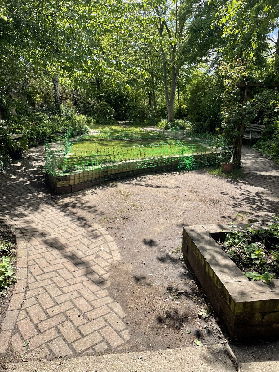 Theoldengarden's tweet photo. We have replaced the truff on our lawn at @Theoldengarden seven times in the last few years, so we are trying something new. Please allow it to take root and #keepofthegrass let’s see how it goes, thanks https://t.co/NHqEuFytxo