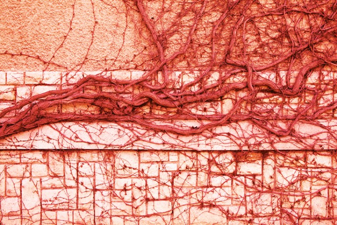 Nature Reviews Endocrinology (@naturerevendo) on Twitter photo #ResearchHighlight: #obesity-induced hypothalamic microvascular remodelling precedes increases in blood pressure and contributes to arterial hypertension (£)
go.nature.com/2QBs5SL
<a href="/CGarciaCaceres/">Cristina García Cáceres</a> <a href="/MatthiasTschop/">Matthias Tschöp</a> <a href="/TimGruber14/">Tim Gruber</a> <a href="/IDO_Helmholtz/">IDO</a> @LMU_Uniklinikum <a href="/DiabResearch/">Deutsches Zentrum für Diabetesforschung (DZD)</a> #ResearchHighlight: #obesity-induced hypothalamic microvascular remodelling precedes increases in blood pressure and contributes to arterial hypertension (£)
go.nature.com/2QBs5SL
<a href="/CGarciaCaceres/">Cristina García Cáceres</a> <a href="/MatthiasTschop/">Matthias Tschöp</a> <a href="/TimGruber14/">Tim Gruber</a> <a href="/IDO_Helmholtz/">IDO</a> @LMU_Uniklinikum <a href="/DiabResearch/">Deutsches Zentrum für Diabetesforschung (DZD)</a>