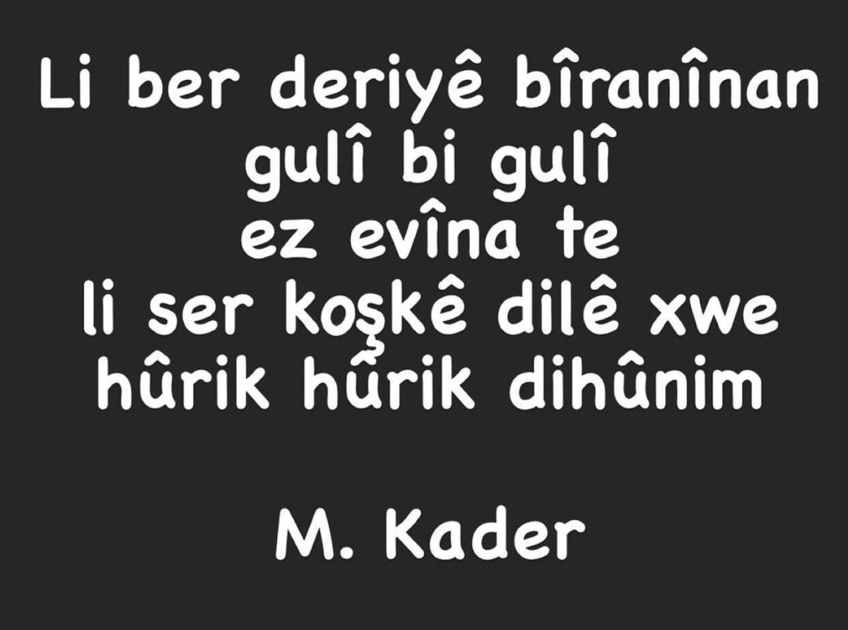 MAMO_KADER's tweet photo. Li ber deriyê bîranînan
gulî bi gulî
ez evîna te
li ser koşkê dilê xwe
hûrik hûrik dihûnim https://t.co/Cgcwj4PDiP