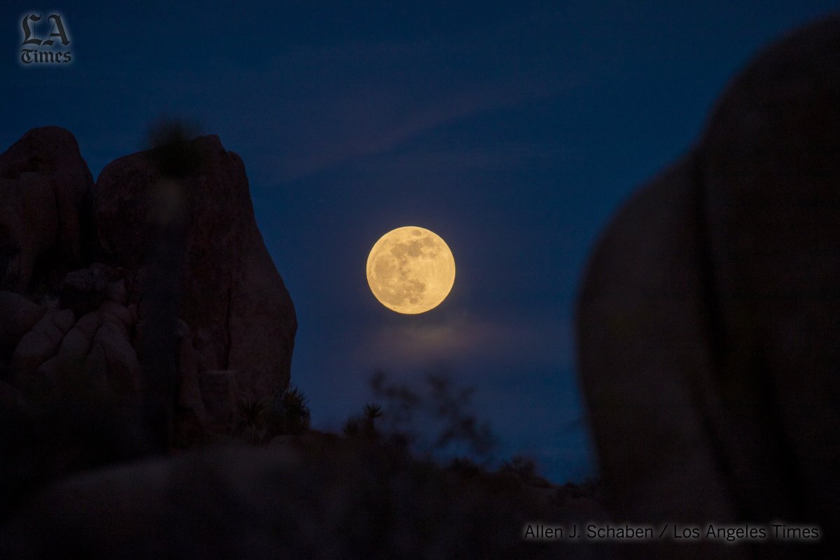 alschaben's tweet photo. It was a beautiful start to the evening in Joshua Tree National Park, until the clouds rolled in, denying us all a complete experience of the #SuperBloodMoon @latimesphotos @latimes https://t.co/mEvSfZAkdE