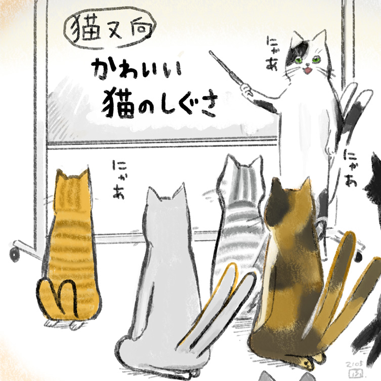 ねこまた 