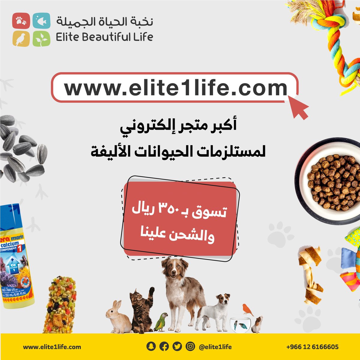 Elite1Life's tweet photo. #نخبة_الحياة_الجميلة
#عروض #عروض_رمضان #حيوانات #حيوانات_نادره #طيور #طيورالحب #طيور_حب #طيور_زينه #طيور_نادرة #قطط #كلاب #قطة #قطة_كيوت
#Elite1Life
#EliteBeautifulLife
#Elite_Beautiful_Life
#Pet #Pets #petshop #petsshop #PetCare #petlovers #petslover #petlove #bird #birds #cat https://t.co/3pdF6NG8DP