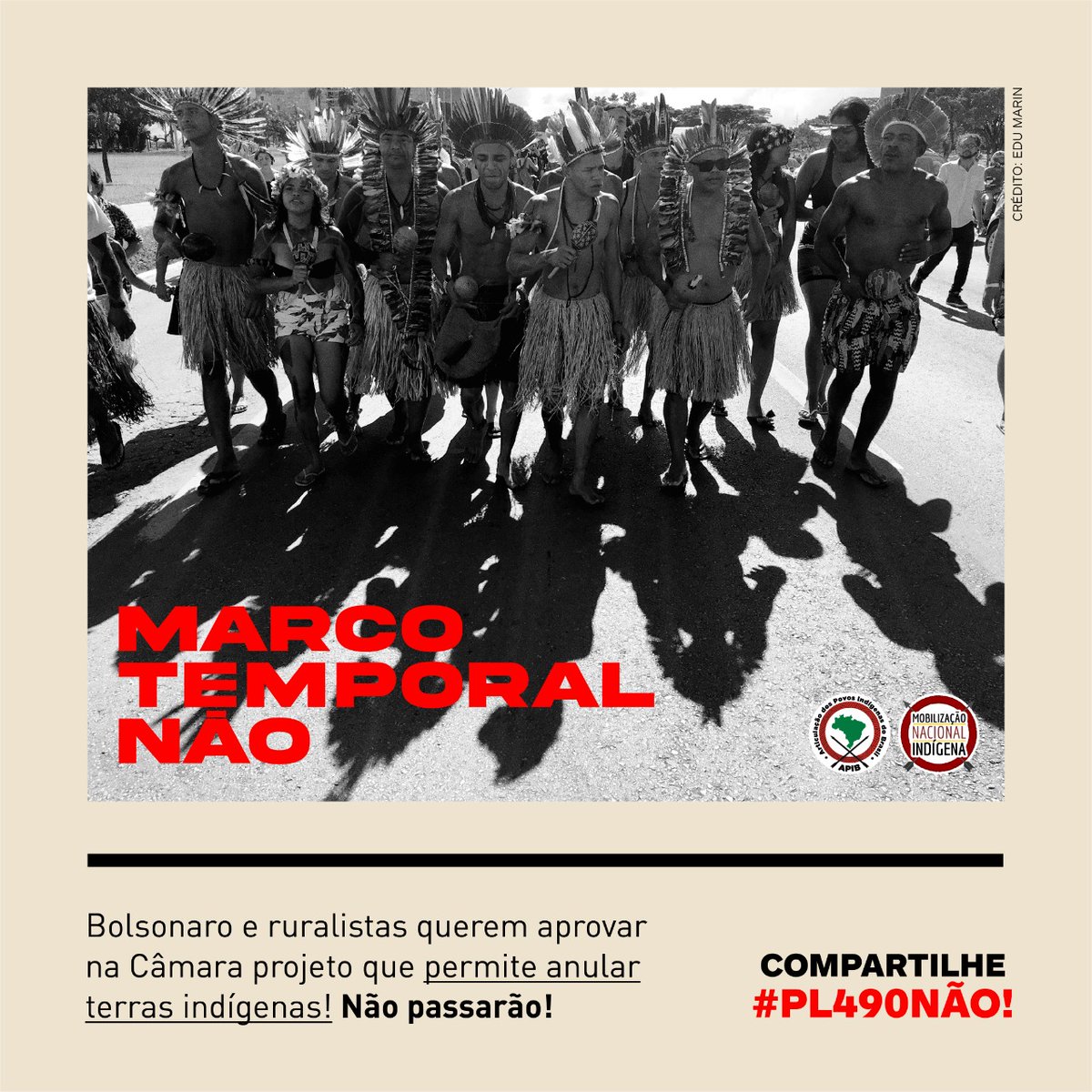 Conselho Indígena de Roraima tweet media