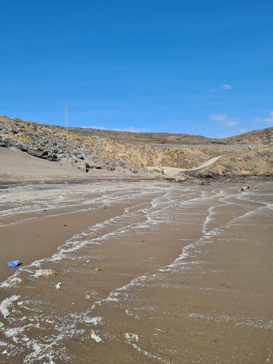 Hoy, día triste en Playa Grande, a la que hemos apadrinado  científicamente desde @AchemGroup. Sin comentarios... @EnviroPla_Net @IMPLAMAC @ULL @invest_ull