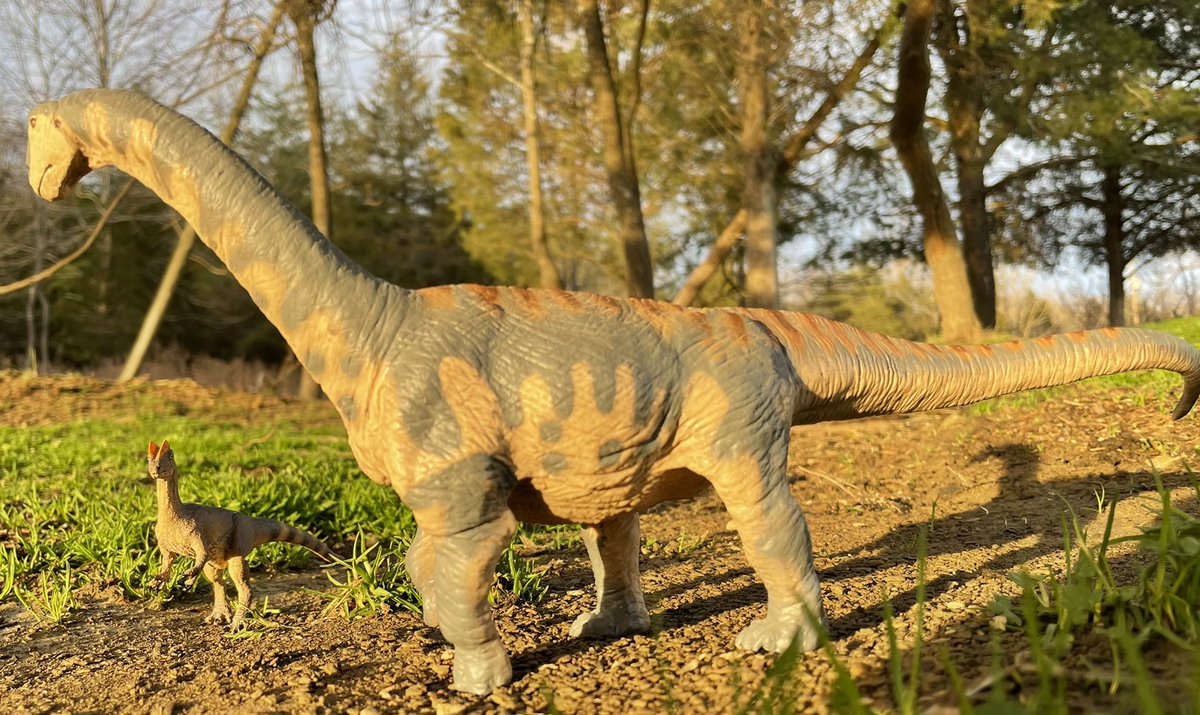 Keeping A Safe Distance 
#safari #safariltd #safariltddinosaurs #howisafari #jurassicpark #jurassicworld #dinosaurs #dinosaurtoys #dinosaurphotography #dinosaursofinstagram #paleoart #paleontology #dilophosaurus