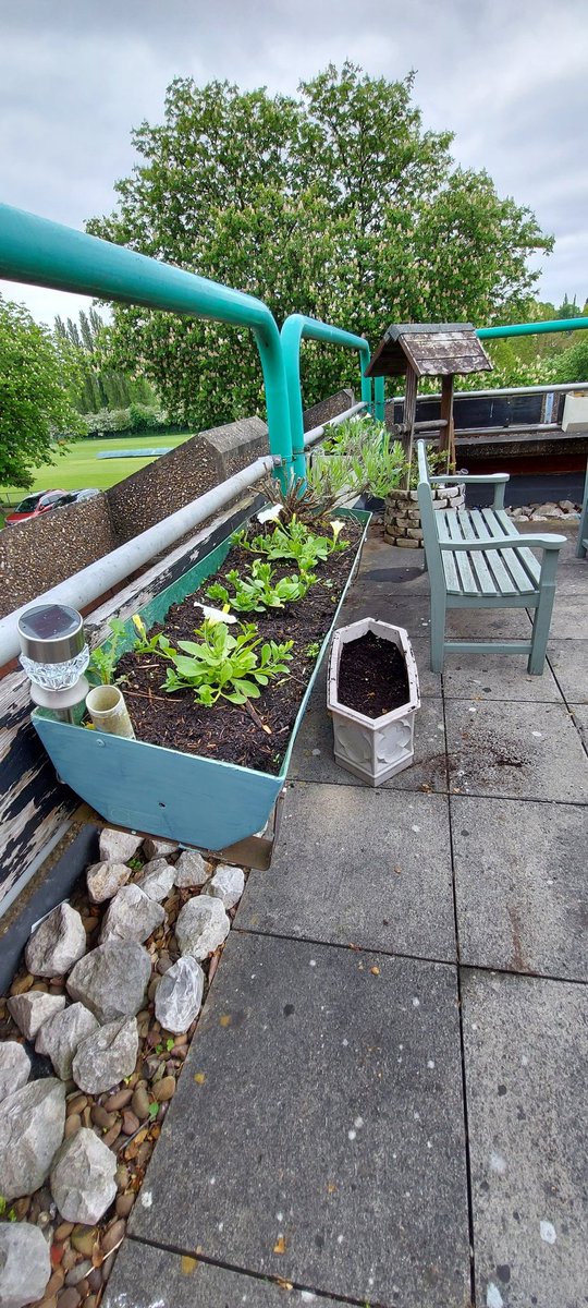 GervisShared's tweet photo. Great start to our garden project. #somuchmoss @R_Morrison94 @mattgerv 
@TeamGervis_NUH watch this space for more improvements 🎨🌻🪴
@SharedGovNUH @TeamCAS3 https://t.co/FDIKzgdbVV