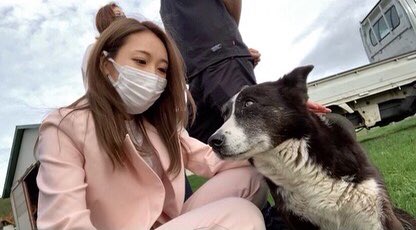 ボーダーコリーのtwitterイラスト検索結果