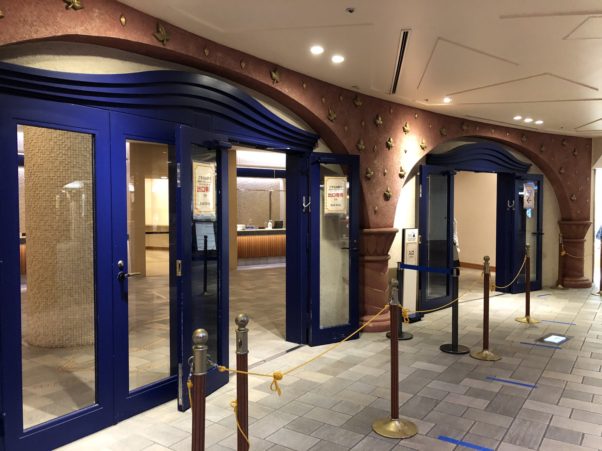 プンバァと歩くdisney Walkwithpumbaa Twitter