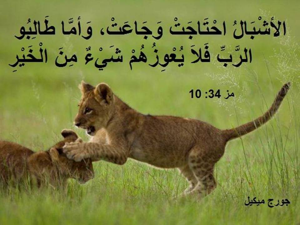 Zakaria_Estawro's tweet photo. الأَشْبَالُ احْتَاجَتْ وَجَاعَتْ، وَأَمَّا طَالِبُو الرَّبِّ فَلاَ يُعْوِزُهُمْ شَيْءٌ مِنَ الْخَيْرِ.
مز 34 : 10 https://t.co/IHY0xRMdjY