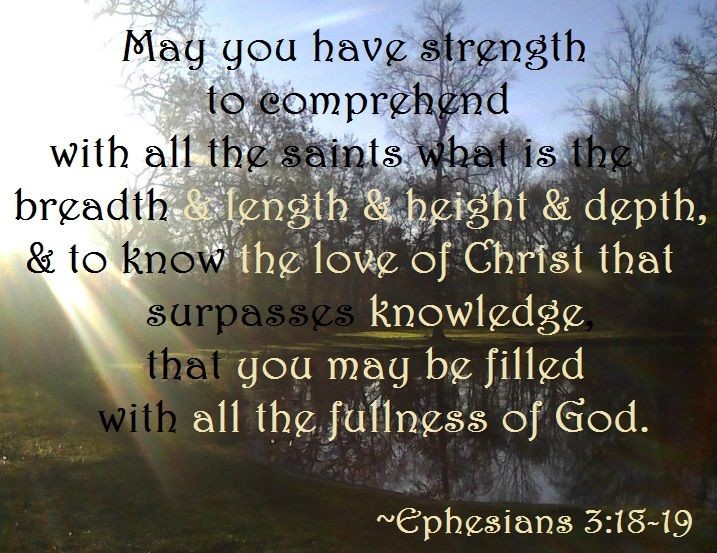 ministerricky1's tweet photo. @ErniHaesloop Our Father please help us #ComprehendYourLove in its #FullerDimensions

#GodYouAreLove, so fill us with #ExperiencingMore of You, more of Your love, so that it #DrivesOutAllFear

Help us #LoveAndLive like Jesus Your Son

In #JesusChrist's AllPowerful Name

TY
#EuropaAfricaUS https://t.co/2RkalOcuF1