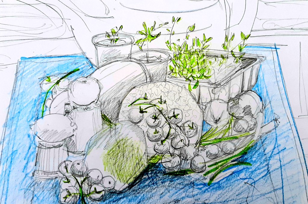 Veg in the Polytunnel.

Today's still life with veg from the <a href="/SFoodbanks/">FANS SUPPORTING FOODBANKS #RightToFood</a> pantry 

Netherley ❤

#northendsketchclub