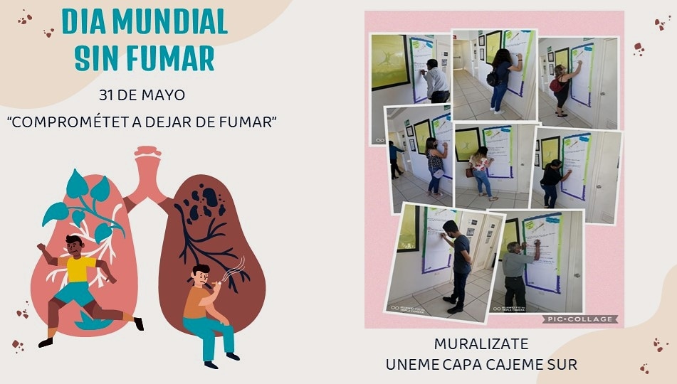 CECOSAMAObrSur's tweet photo. DÍA MUNDIAL SIN FUMAR
       31 de mayo
#comprometeteadejardefumar
Muralizate😉👍
@CONADICmx @ApoyoCapaCajeme @CapaSonora https://t.co/H95iZeg0AA