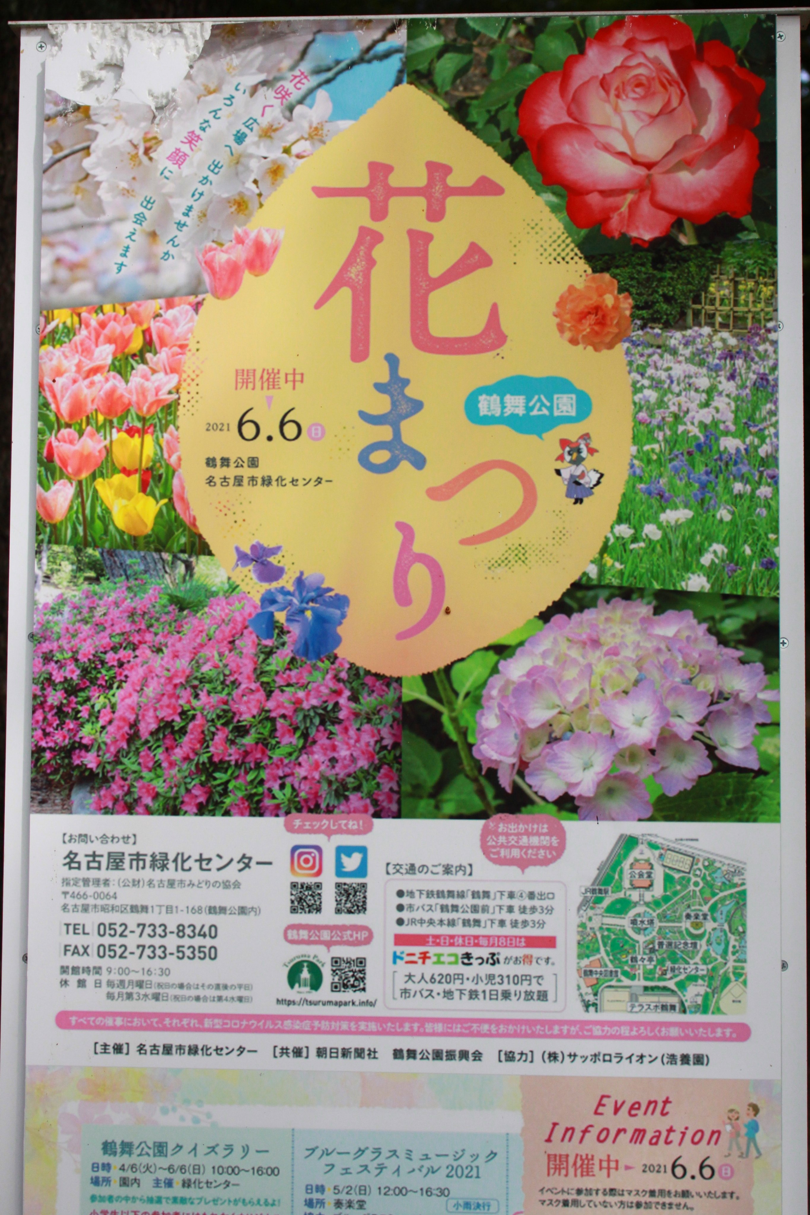 愛知の美人を撮るネ 鶴舞公園 春 21 5 26 ｊｒ東海 地下鉄 鶴舞駅 No 665 花まつり 開催中 Aichinow Aichi 名古屋市 鶴舞公園 鶴舞公園バラ園 バラ 薔薇 Rose T Co Rpttyru2ma Twitter
