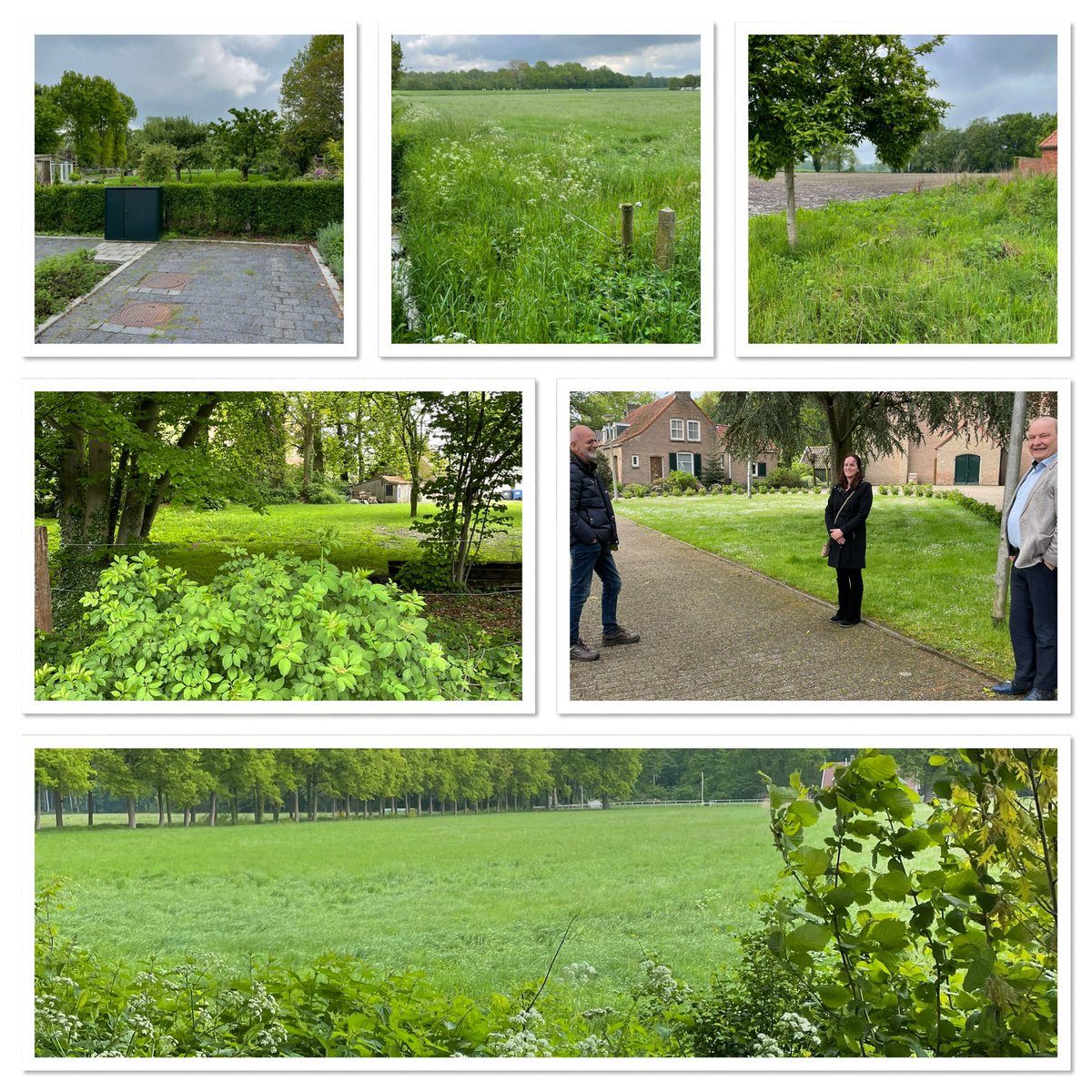 anja prins tweet media