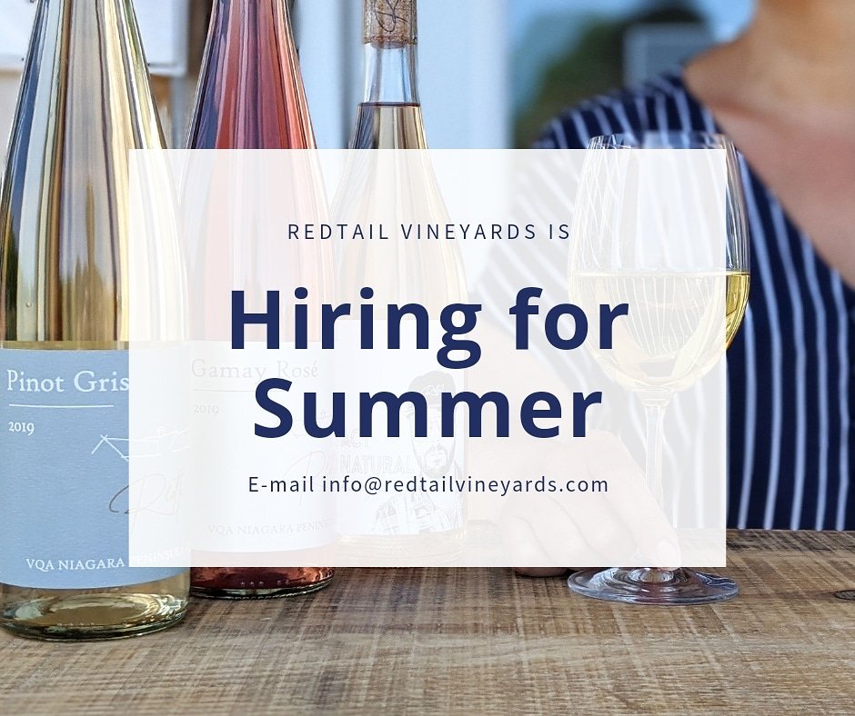 RedtailPEC's tweet image. 📣 Redtail Vineyards is looking for part-time retail staff for our 2021 summer season! Interested? E-mail info@redtailvineyards.com for details 🍷
