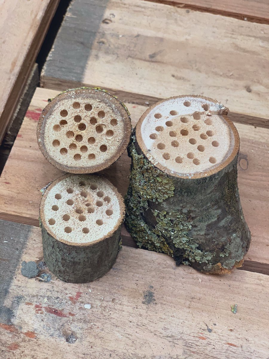 Msteffenswater's tweet photo. Yeah..
Bij Jeugdland in Hoofddorp!
Blij als een ei met de rondleiding over dit prachtige terrein, een waar kinder-speel-paradijs midden in Toolenburg 🐸🌳🥀🐞🪵🌼🕷🛖
#moestuin #waterspeeltuin #huttendorp #skelterbaan #insectenhotel https://t.co/x9EehyDNZ6