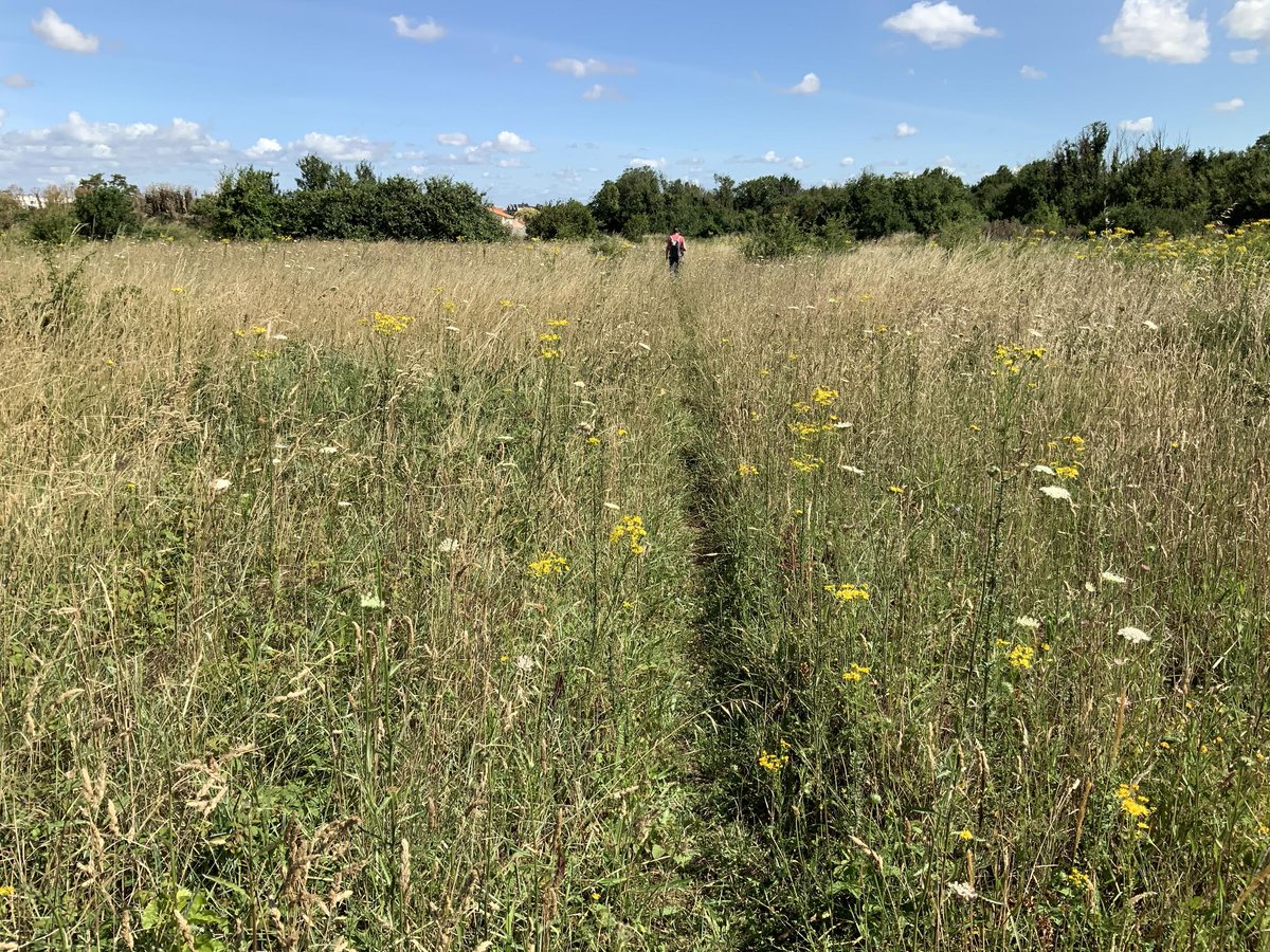 Happy and honored to receive a <a href="/GrahamFound/">Graham Foundation</a> grant for my forthcoming book, Landscape Fieldwork <a href="/uvapress/">UVA Press</a> #uvapress #grahamfunded #grahamgrantee #grahamfoundation #landscapefieldwork Photograph #brownfield near La Rochelle by Philippe Coignet @olm_paysages