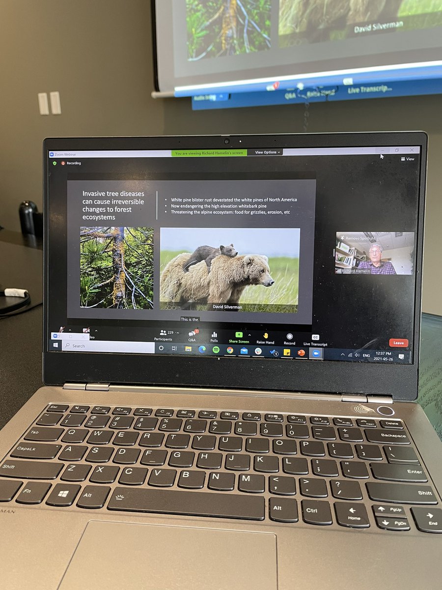 Canadian Fungal Network (@canfunnet) on Twitter photo Next up, <a href="/richamelin/">Richard Hamelin</a> is highlighting the importance of vigilant biosurveillance to protect the world’s forests 🌳 Tune in! #CFNGLM21 Next up, <a href="/richamelin/">Richard Hamelin</a> is highlighting the importance of vigilant biosurveillance to protect the world’s forests 🌳 Tune in! #CFNGLM21