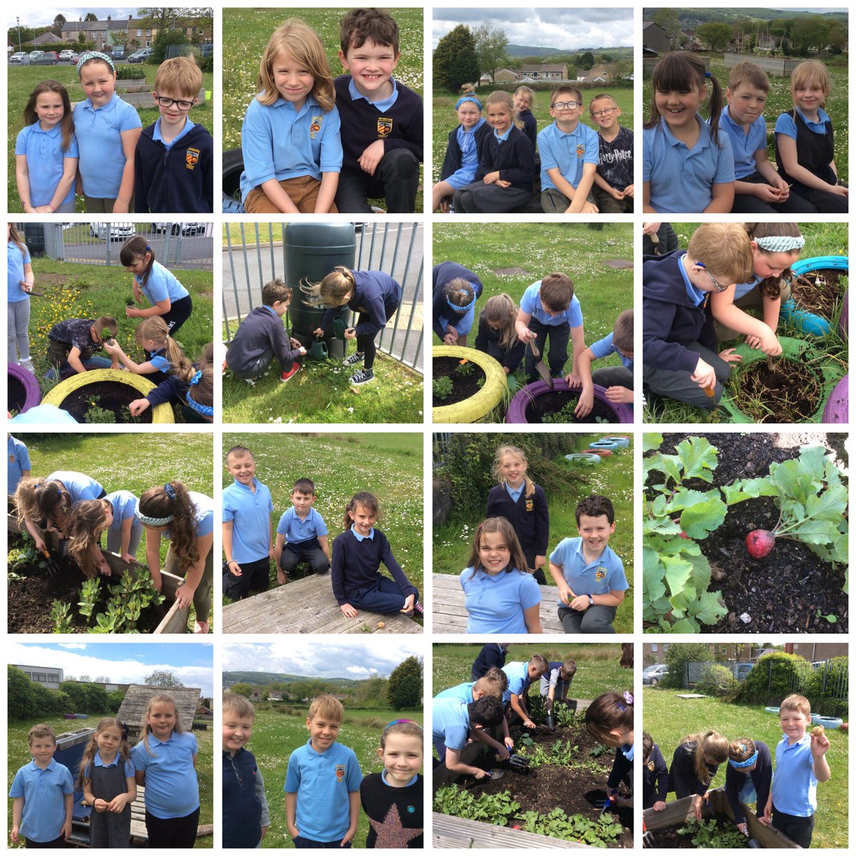 BryncethinPS6's tweet photo. We have had a lovely afternoon outdoors, planting and playing memory games. Take a look at how our vegetables have grown! Great work class 6! 😊👍 🍅 https://t.co/tc1VqeRT1m