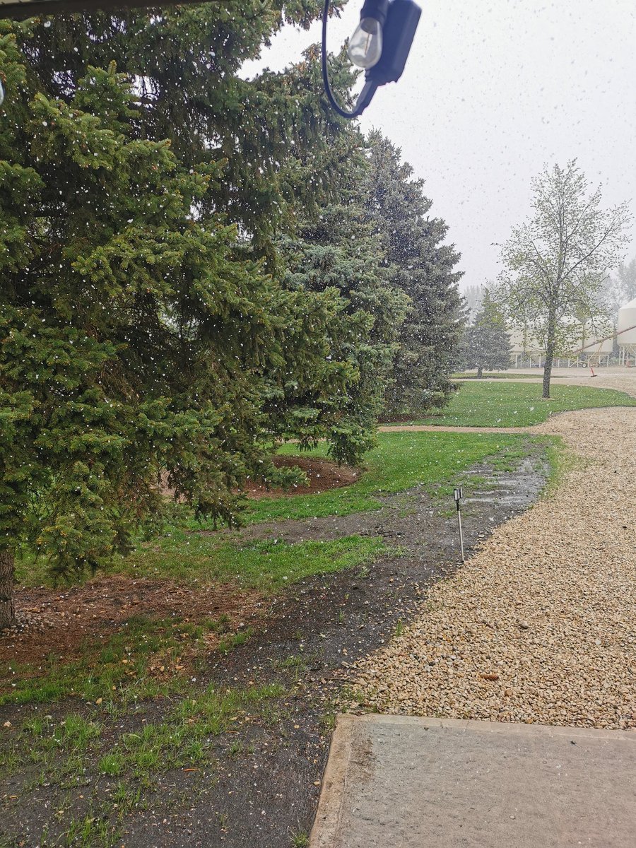 May long is over. Why is it snowing?!?