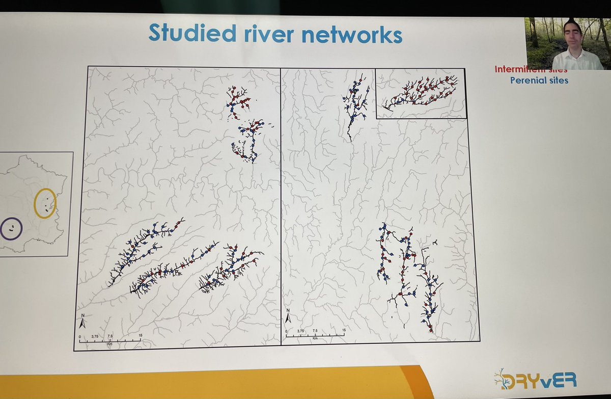 deb finn (@streambug) on Twitter photo Fabulous study design <a href="/tdatry/">Thibault Datry @tdatry.bsky.social</a> <a href="/DryRiversRCN/">DryRiversRCN</a> ! So much work. Powerful inference. Take-home: as intermittency increases, it becomes increasingly important to maintain spatial connectivity. #2021SFS Fabulous study design <a href="/tdatry/">Thibault Datry @tdatry.bsky.social</a> <a href="/DryRiversRCN/">DryRiversRCN</a> ! So much work. Powerful inference. Take-home: as intermittency increases, it becomes increasingly important to maintain spatial connectivity. #2021SFS