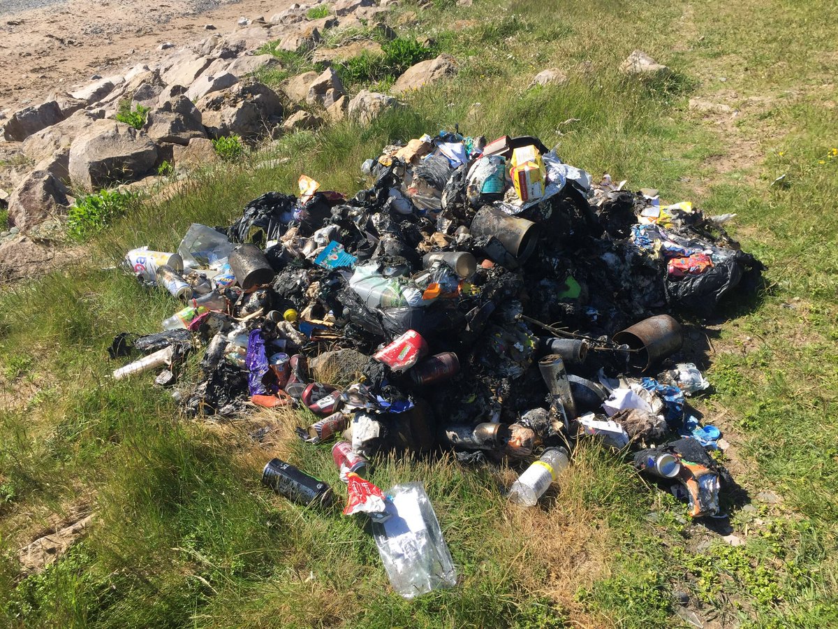 Tracey Nelson tweet media