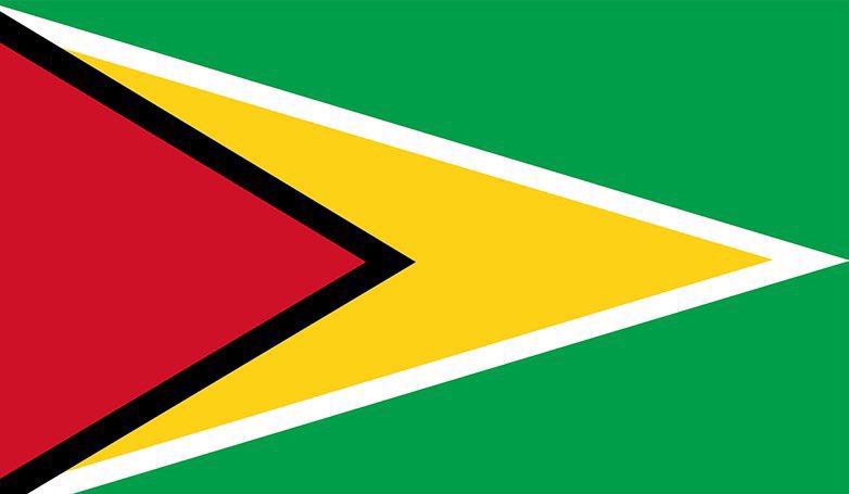 T_Logs_'s tweet photo. The flag:                           The face: https://t.co/G5dlV2aqqR