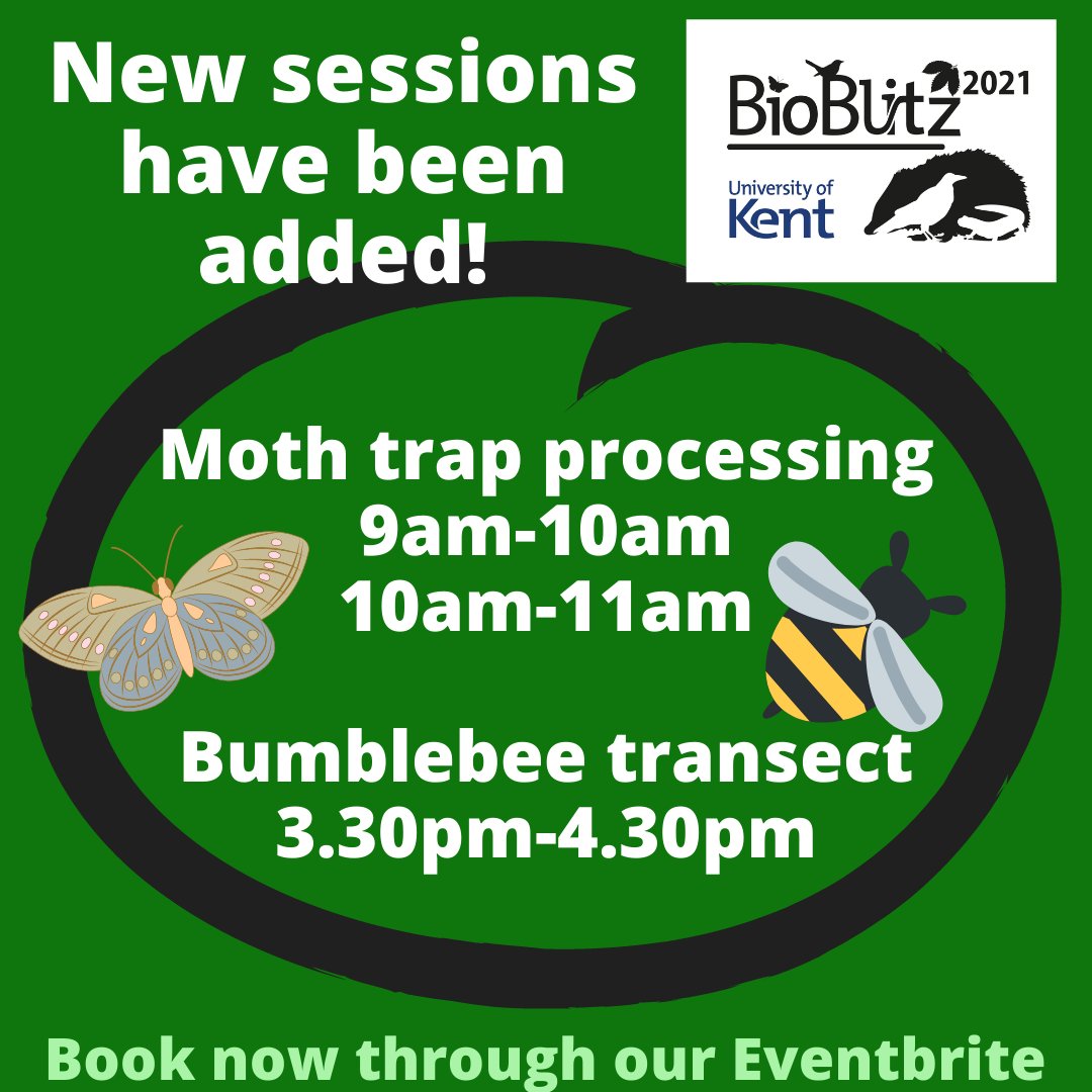 UoKBioBlitz's tweet image. We have 3 new sessions available! 2 Moth sessions and a Bumblebee walk 🐝
If you haven't been able to book onto a session yet then check these ones out! 

Book through our Eventbrite
eventbrite.co.uk/e/university-o…

#kentbioblitz21
@KentWildlife 
@UniKentSAC 
@UniKent
@savebutterflies