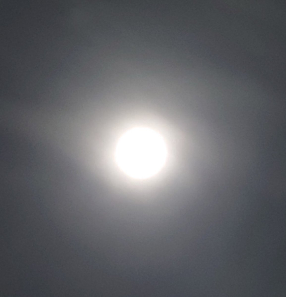 manzoku_ym's tweet image. #今日の積み上げ

✔ブログ
💮キンヤさんイラレ講座
✔ほし部動画

#webエンジニアと繋がりたい
#ブログ仲間と繋がりたい
#webライターと繋がりたい

キンヤさん企画、これが無料で受講出来るなんてありがたすぎて
🙏(´；ω；｀)

昨日の🌕今日はモヤッた皆既月食でした
明日もいい日でありますように✨