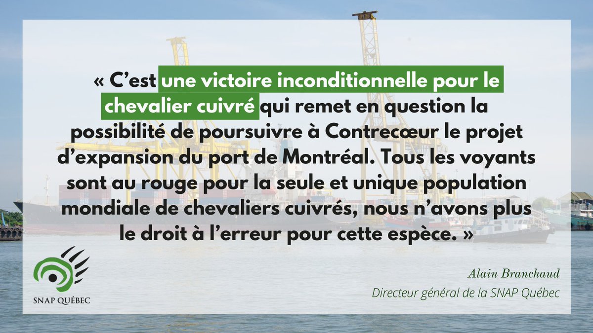 Victoire décisive aujourd'hui pour le #ChevalierCuivré 🎉 

Le recours en Cour fédéral lancé par la @snapqc et le @_CQDE en janvier dernier a porté ses fruits!

#polcan #polqc #Contrecoeur #LEP #biodiversité

👉 snapquebec.org/apres-101-mois…