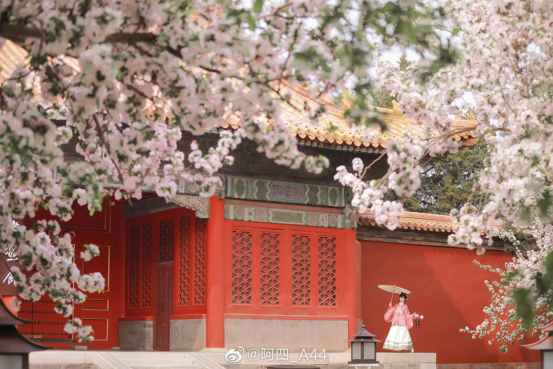 znksk3's tweet photo. hanfu
#傳統文化 #中華風
#ChineseCostume  #漢服チャレンジ
#汉服挑战 #한푸_도전 #China #汉服 #漢服 #한푸 
#Chinese_style #中国风 #中国 #ChineseCostume #chinesefashion #ChineseCulture #ChinaStory #Chinese_culture #hanfu_challenge #hanfu https://t.co/lyKbR1PHyY