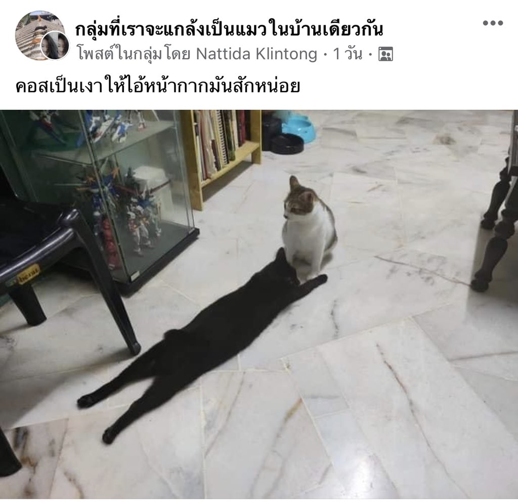 กูก็มองเป็นเงาไปได้เนอะ