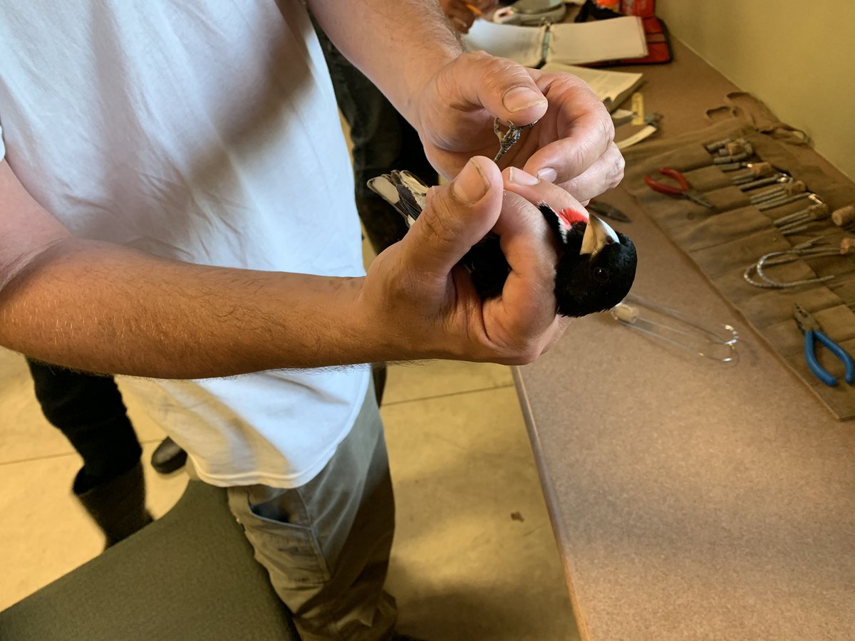 Lakeside Laboratory tweet media