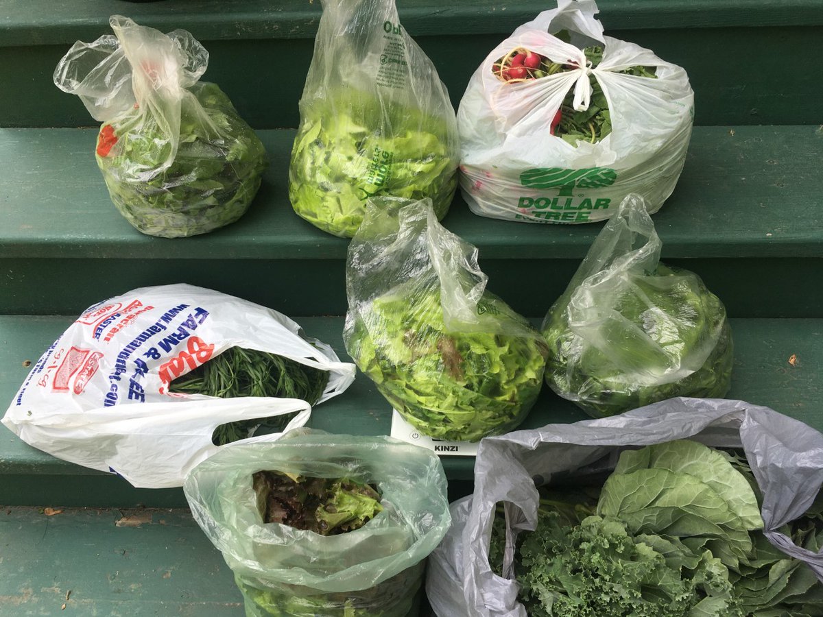 township_s's tweet photo. More produce donations from our amazing garden interns---and the season is just getting started!  #NeighborsHelpingNeighbors https://t.co/gQKIppJS6D