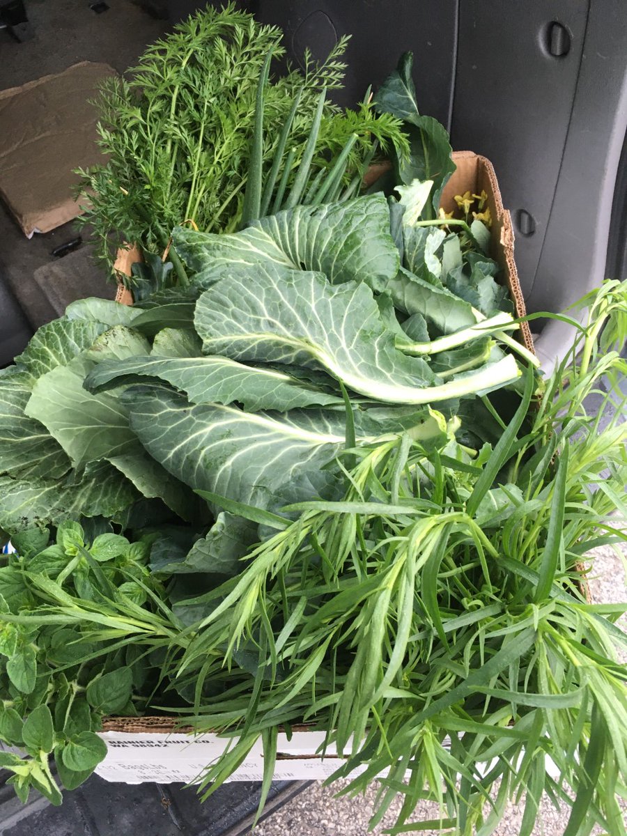 township_s's tweet photo. More produce donations from our amazing garden interns---and the season is just getting started!  #NeighborsHelpingNeighbors https://t.co/gQKIppJS6D