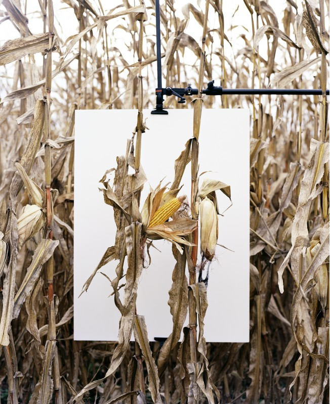 institut_arts's tweet photo. [A 17h] Rencontre avec @mathieuasselin organisée par Danièle Méaux @Univ_St_Etienne #eccla autour de son livre "Monsanto : une enquête photographique" paru chez @ActeSud
en ligne ; ouvert à tous.
Pour nous rejoindre, cliquez ici 👇👇
https://t.co/FAA76LqOoA https://t.co/6cBR1bexof