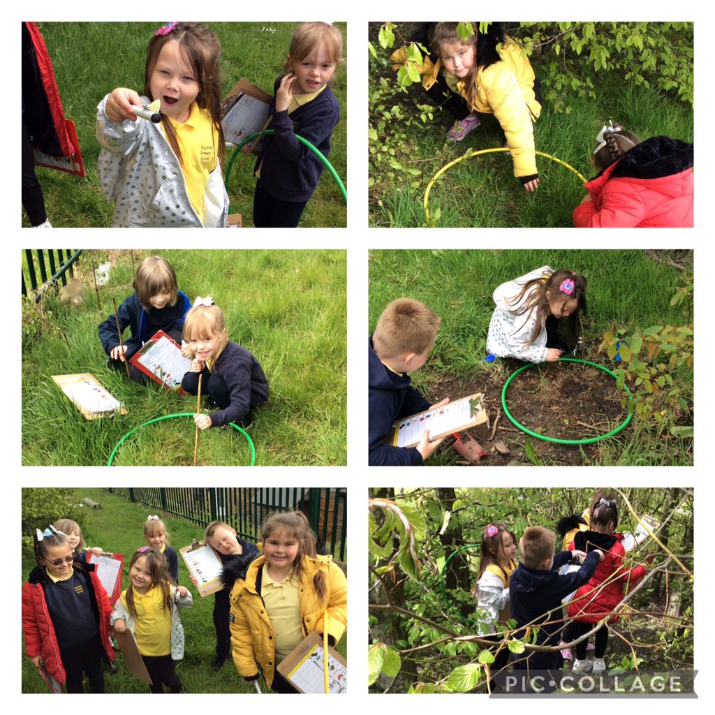 Dosbarth Cardiff City tweet media