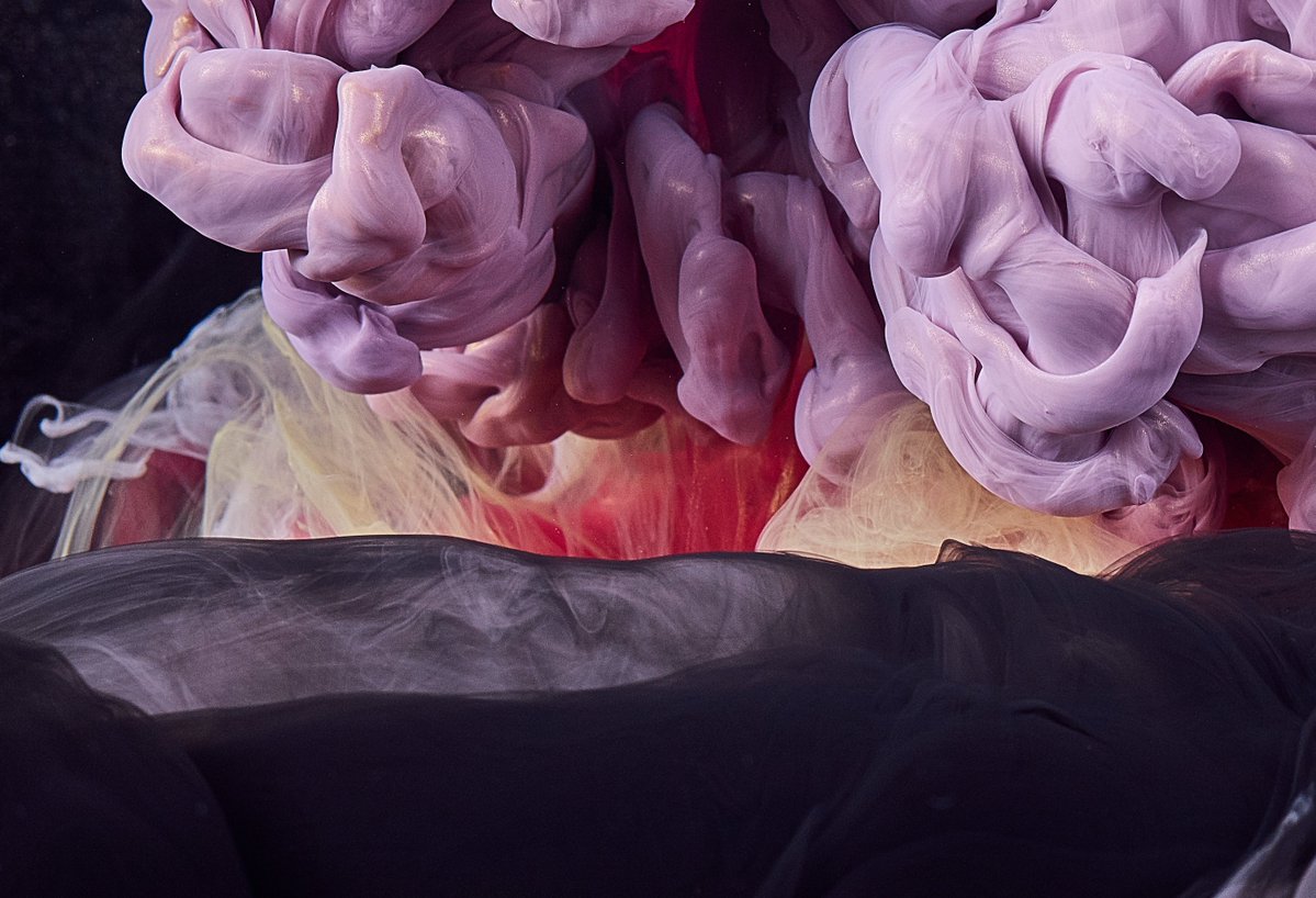 Plume_Art's tweet photo. more #details! One of my favourite things to do when editing our images is to zoom in to different areas and find mini compositions within the whole. #phaseone #IQ250 giving us that sweet sweet fidelity! https://t.co/vn6ba97Tui
