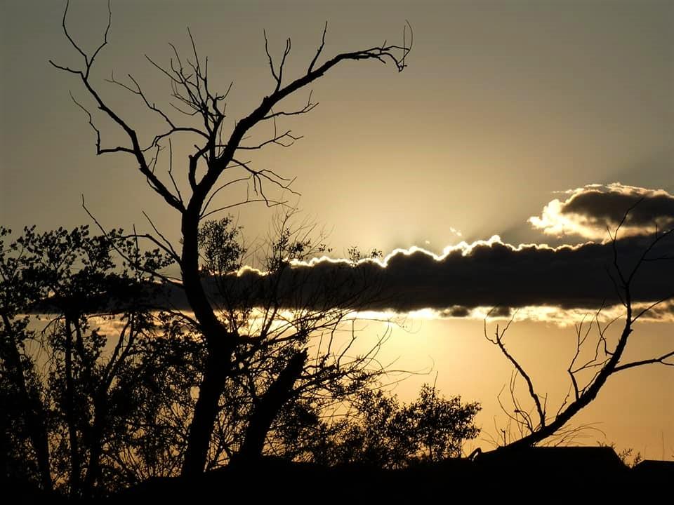 eConnection: Saying goodbye and hello to synod staff conta.cc/3oBftHB