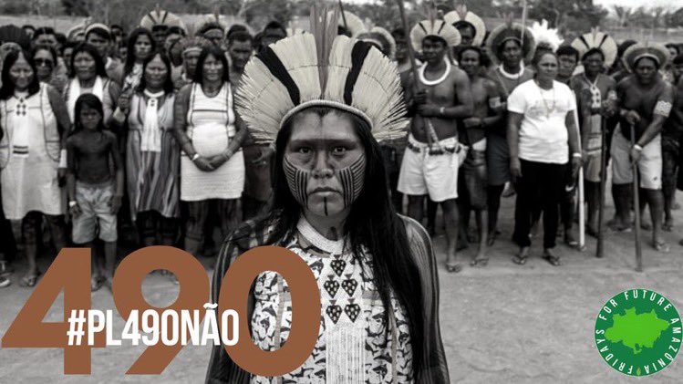 parents4futureG's tweet photo. Today the Brazilian House of Representatives is discussing the bill PL490, which extinguishes the demarcation of indigenous lands, which will be destroyed to make way for goldmining and pastures, and the people who own the land will be murdered. #PL490NÃO https://t.co/6yVILZ6z4P